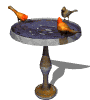 uccellini.gif